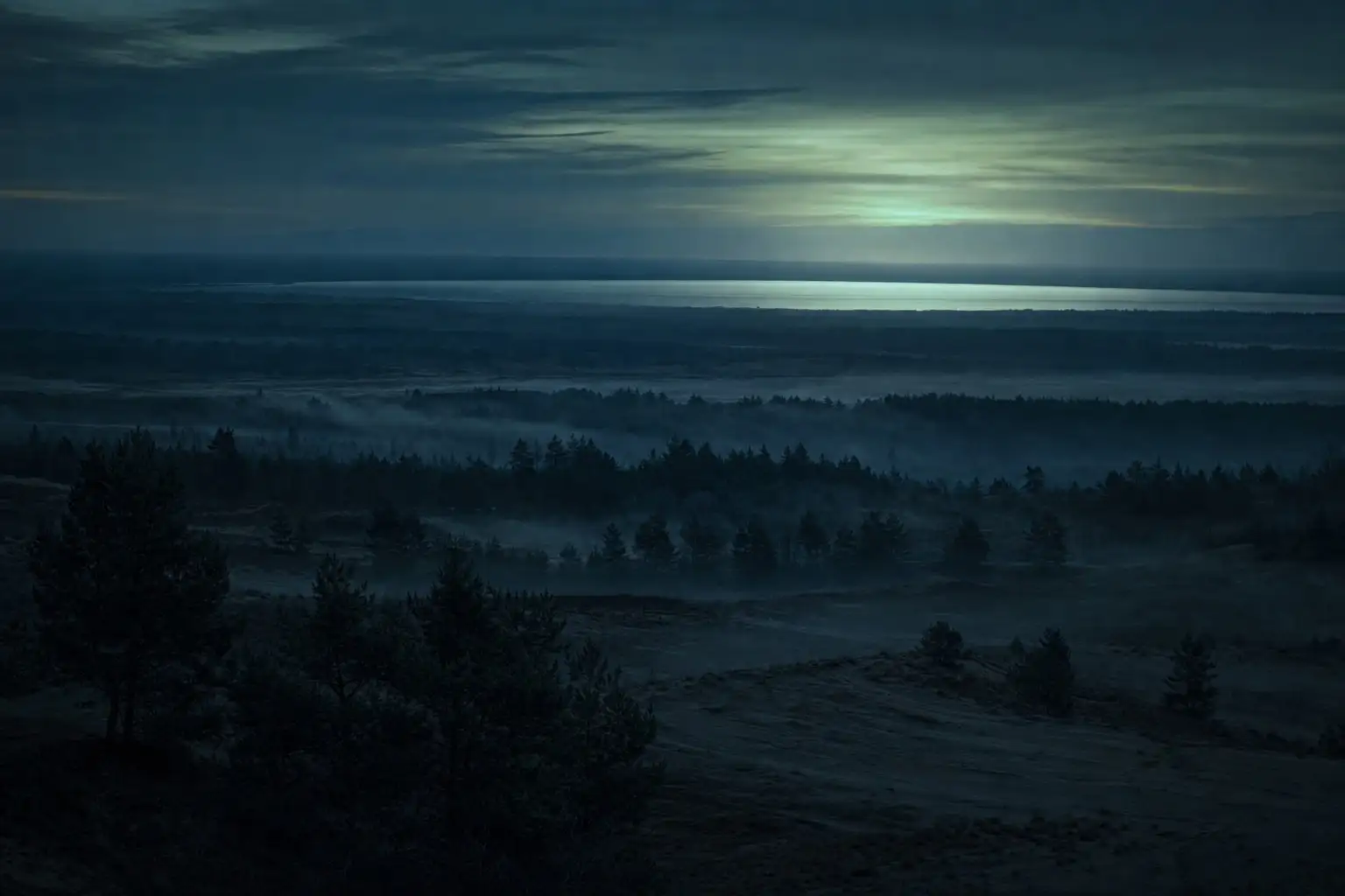 Kiefernheide mit Bodennebel und einem Tagebausee am Horizont im Morgenlicht
